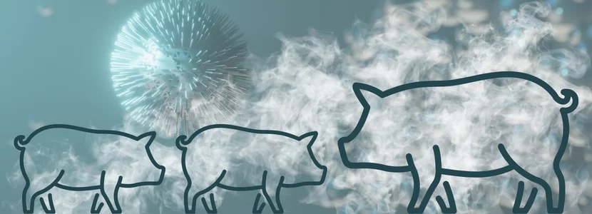 Nebulizacion Cerdos 03