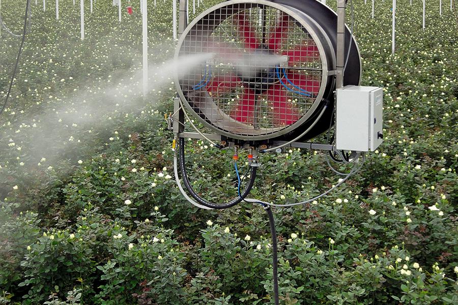 Nebulizacion Invernadero 01