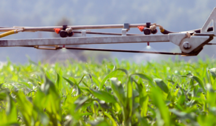 Nebulizacion Verduras 04